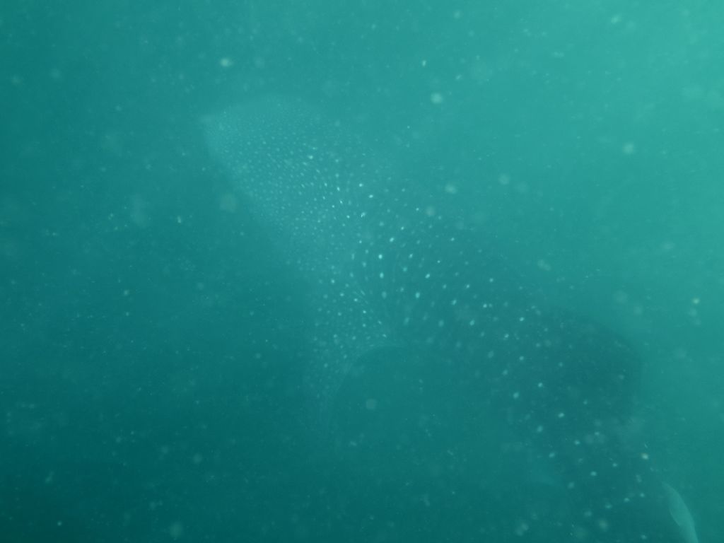 e6fefe13-5191-4e35-8028-54c9be3823fa