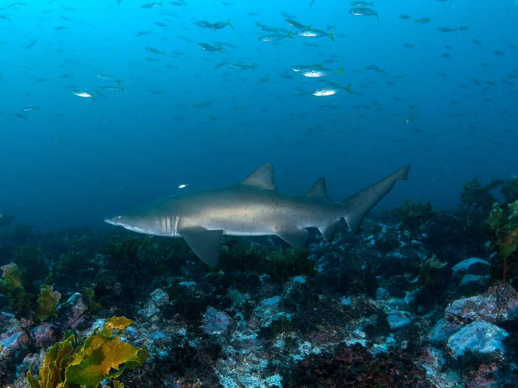 deba7fb3-6e8f-46c9-bba9-f38b64a7871a