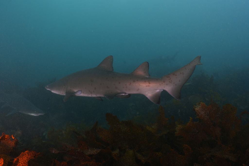 6fa9438d-4502-48f6-bba5-1554471f3064