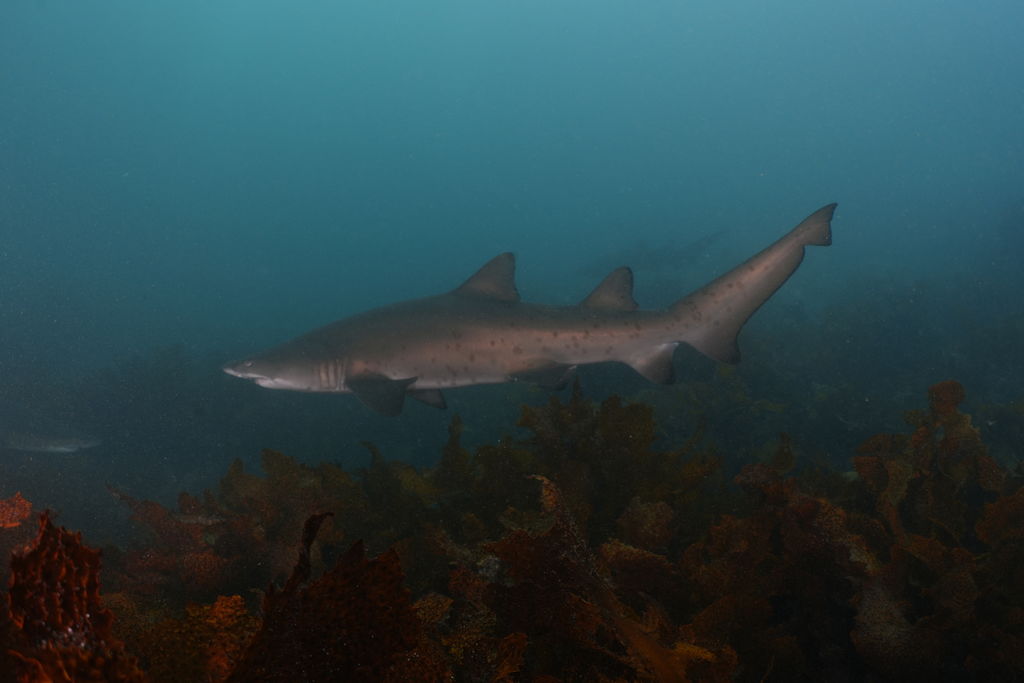 6fa9438d-4502-48f6-bba5-1554471f3064