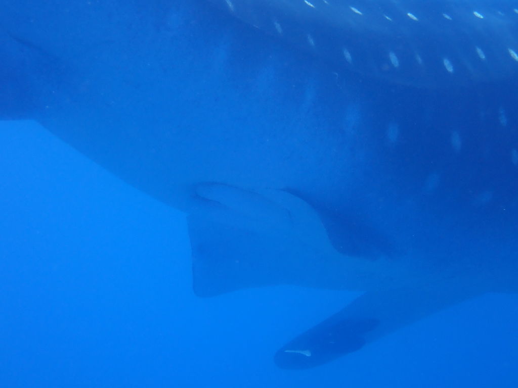 afce3a45-b16d-4c72-9e6a-71c99c9314bd