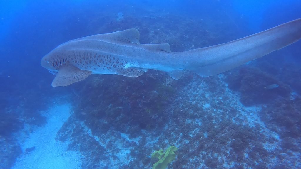 a50a3a04-e02e-4a51-ab1f-556ead886766