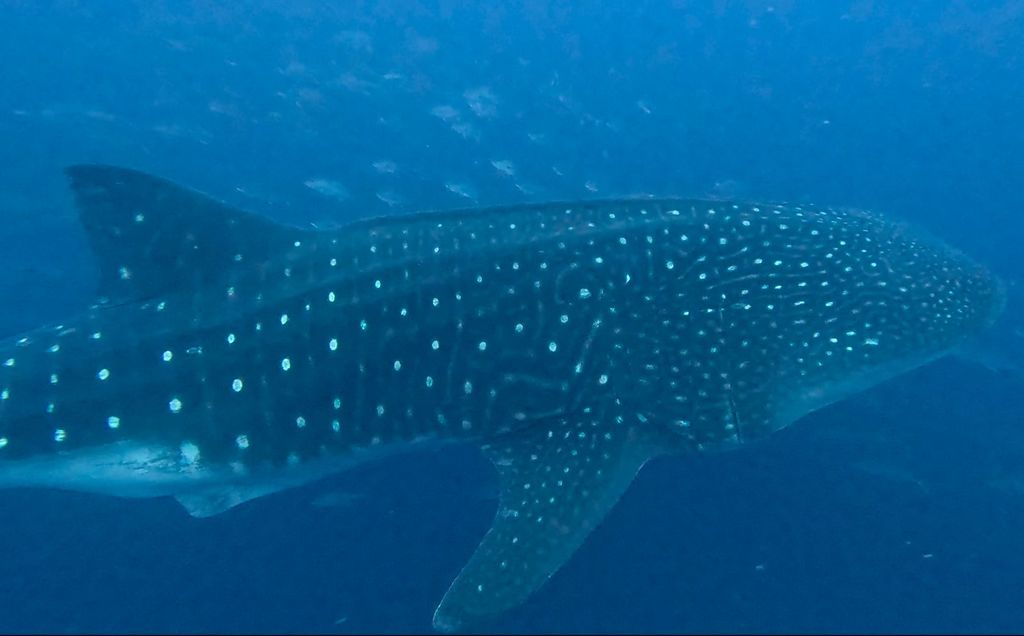 70efcd3f-ece5-408b-9c59-1bf4102ce834