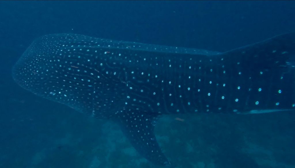 70efcd3f-ece5-408b-9c59-1bf4102ce834