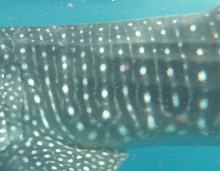 4ff16873-11bf-4c07-90d6-4a30cc3715ec