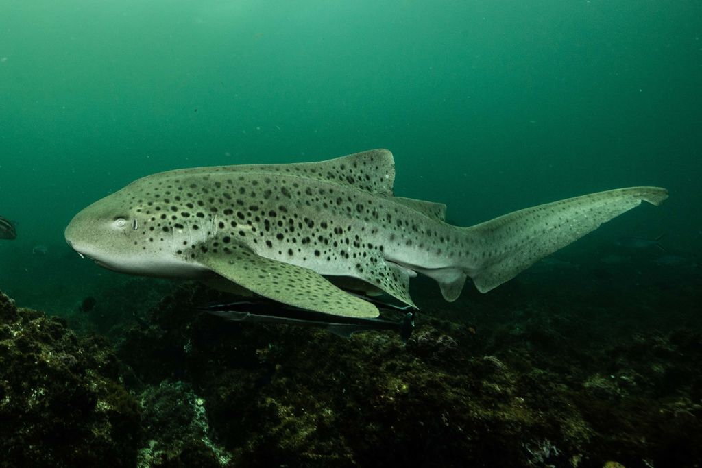 f2be489a-a27e-44ca-aaa8-addc2f7a79ab