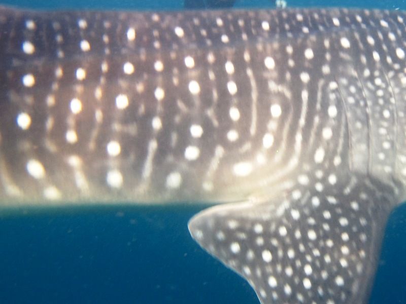 8286653a-420d-4eb4-8d93-0968f4b48fa7