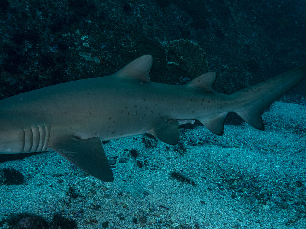 37feb32b-c639-4bca-bfad-eb15ad8b30eb