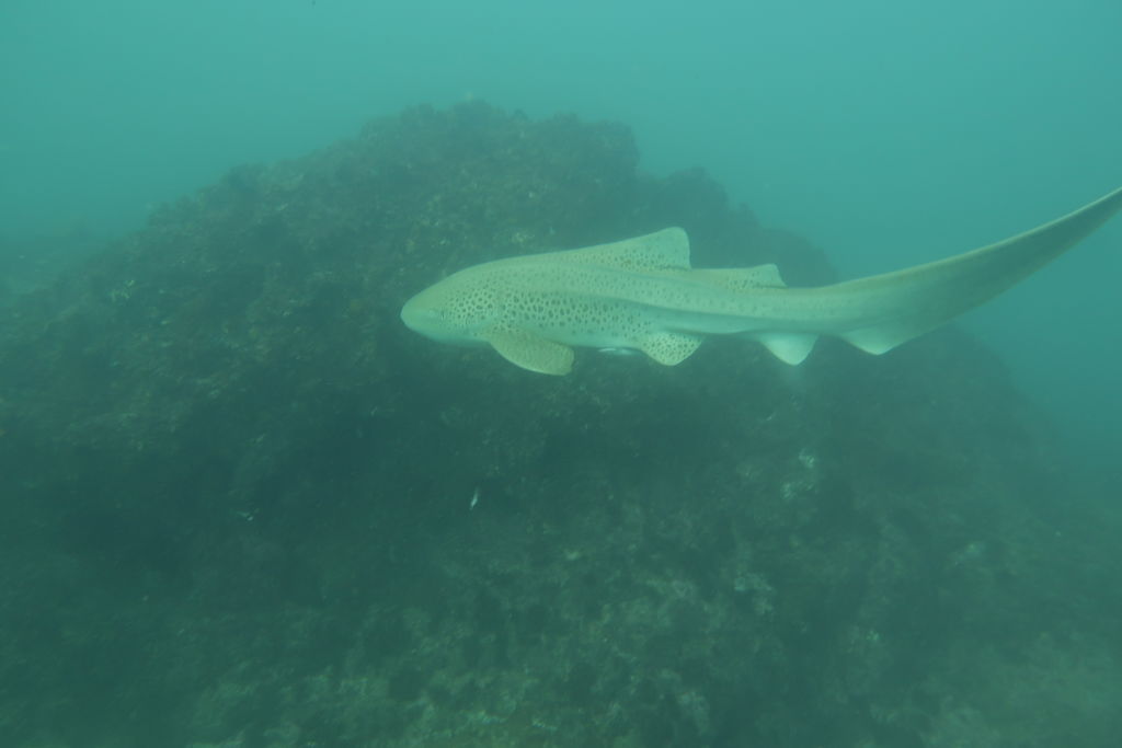 6a2bbd36-674f-46a5-ac56-951197cfdb43