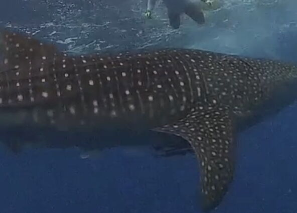 8c8ebc9d-2e2d-4539-947a-48254c12841a