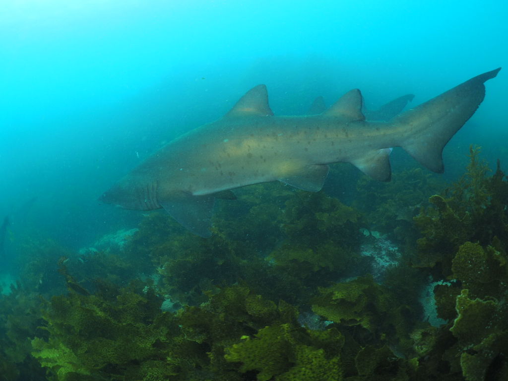 b3edd3de-ad78-443e-94d8-b252c4d0818b