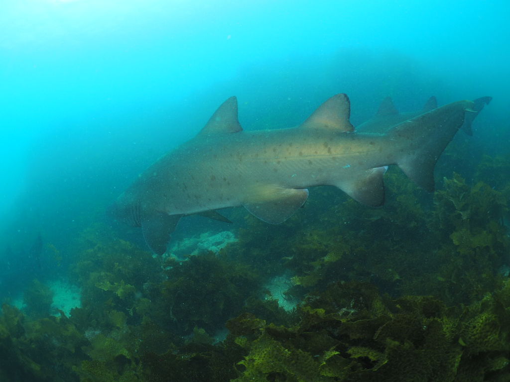 b3edd3de-ad78-443e-94d8-b252c4d0818b