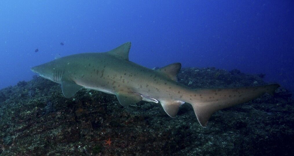 da520896-57e7-465f-b8ab-9145d82ecf35