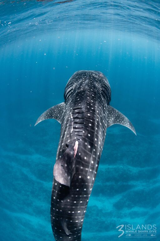 b637452a-facb-4b4e-bfe3-b9c2bbcddde7