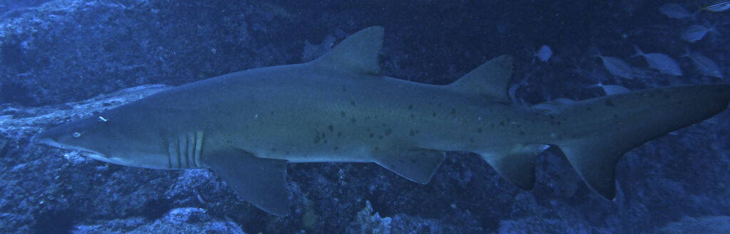 9b105528-8c2c-4dfb-9ae2-19641cbe6e72