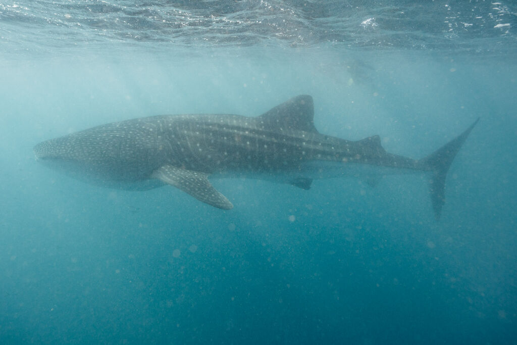 784b2540-b85a-4143-b395-c15aa7182762