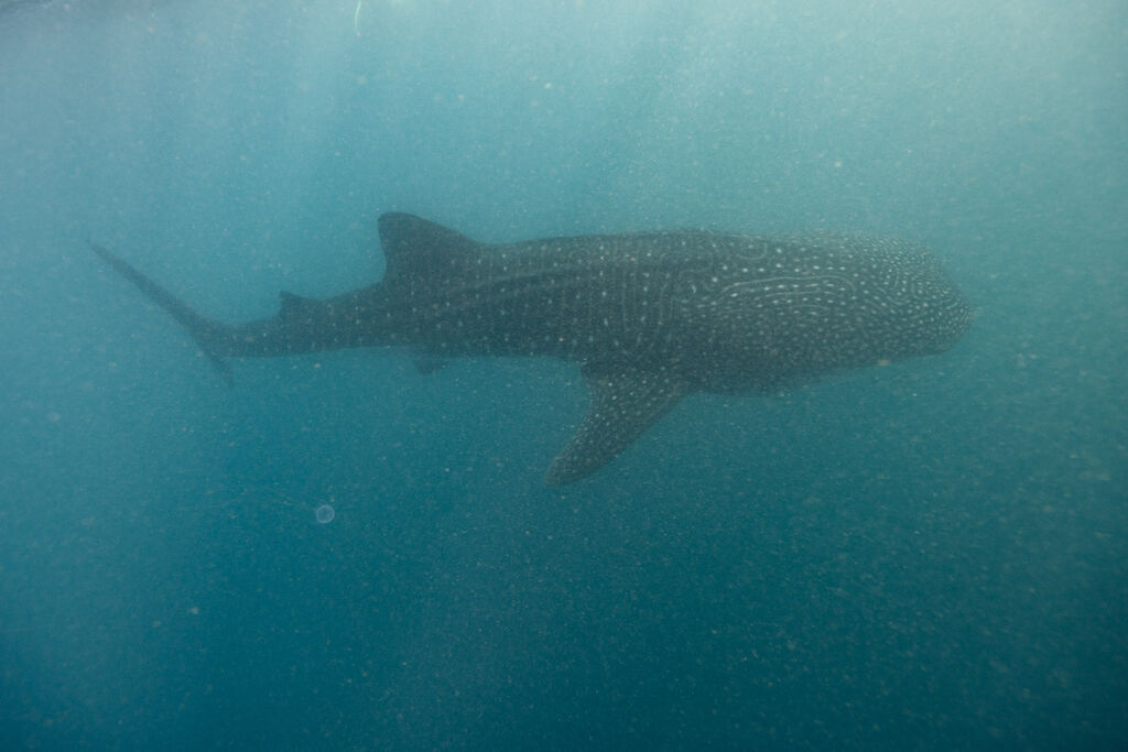 784b2540-b85a-4143-b395-c15aa7182762