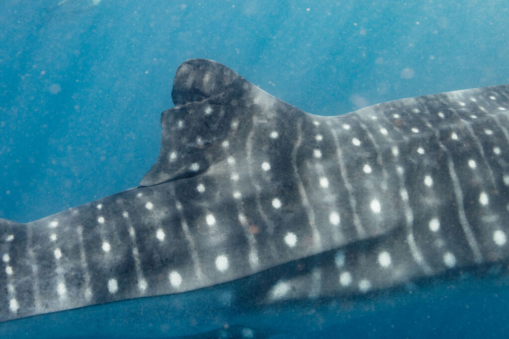 321e7450-cdd9-4e01-b48e-6c3bcf09441e