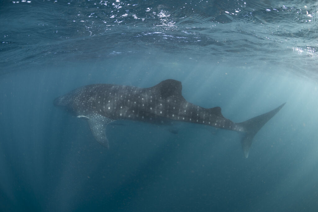 90940b81-bdf8-45f2-8225-edfb181b24f6