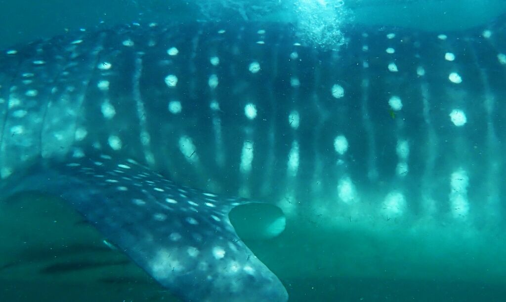 7f30ebd2-b887-4b92-93f7-3b0fa1dc52cc