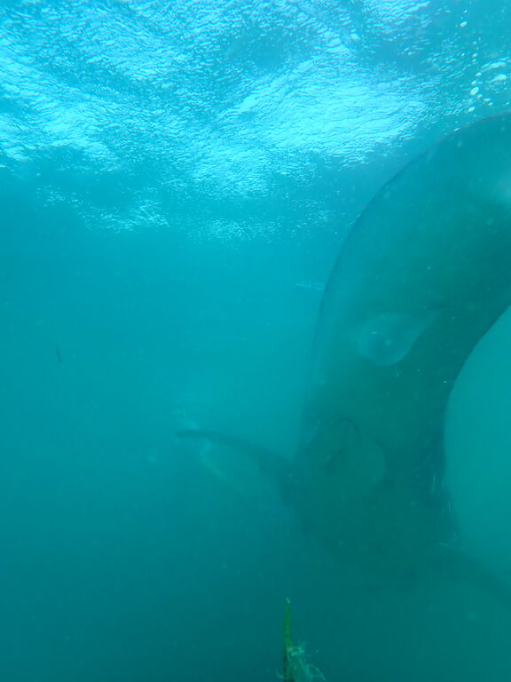 7f30ebd2-b887-4b92-93f7-3b0fa1dc52cc