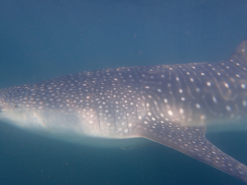 32813f60-7fb4-44f7-969e-23b7d80e072d