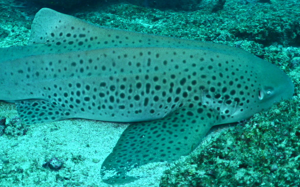 49b577f9-1305-4d82-ae41-f269152f7f39