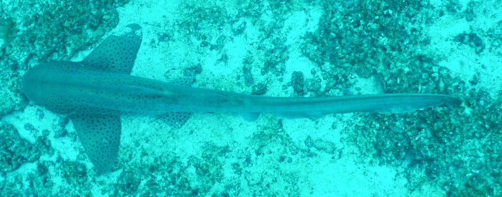 49b577f9-1305-4d82-ae41-f269152f7f39