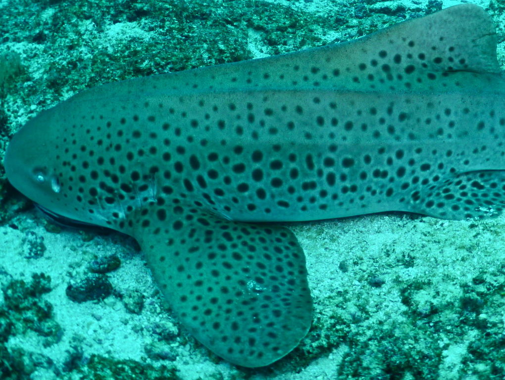 49b577f9-1305-4d82-ae41-f269152f7f39