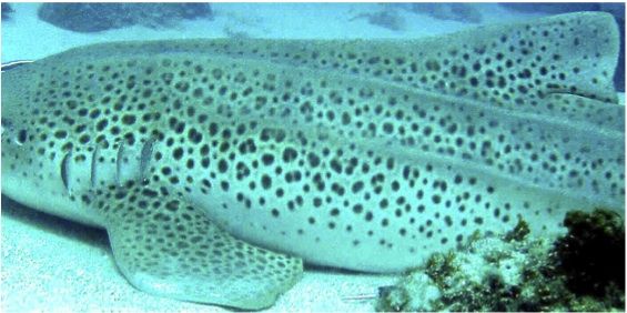 6e88e233-135f-476e-beb3-96863c9ac3f2