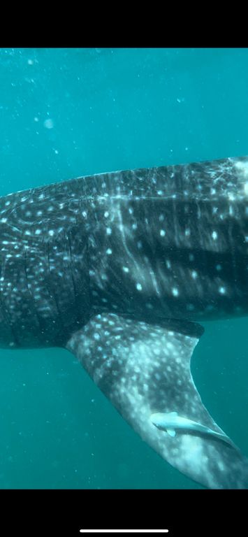 d54e6670-4c48-456d-addf-92ab64a4b8e7