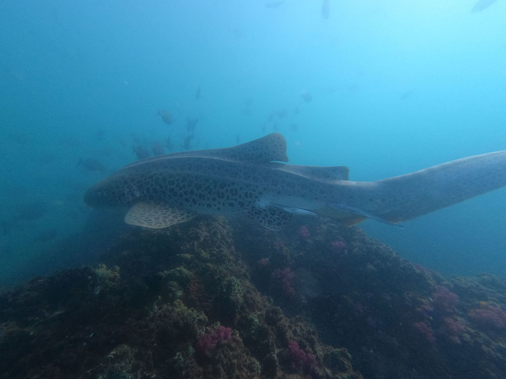 9faf2264-0022-4862-967f-2cc32fc7c12e