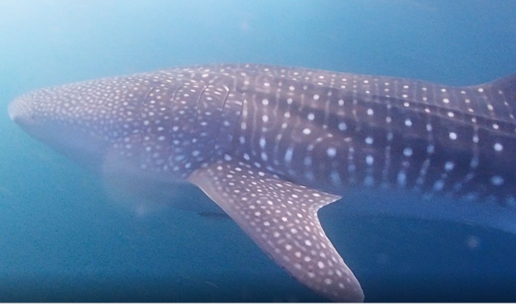 fb62926f-81f9-4070-ba2d-5303ce114e6d