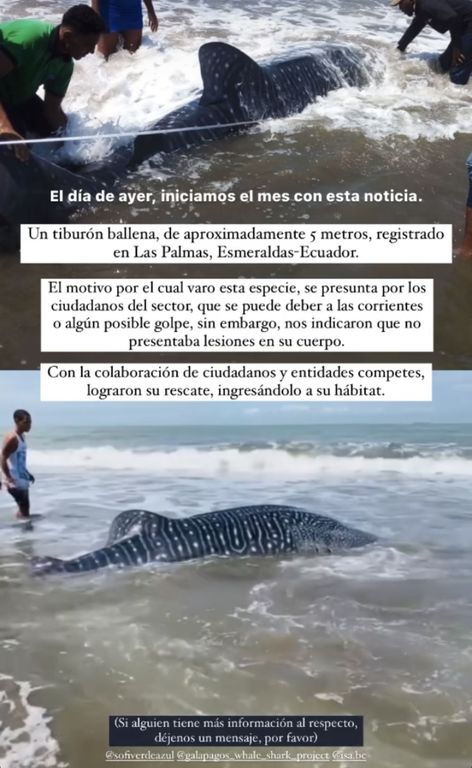 74dc3d37-ac07-44dd-9146-51a5717a107f