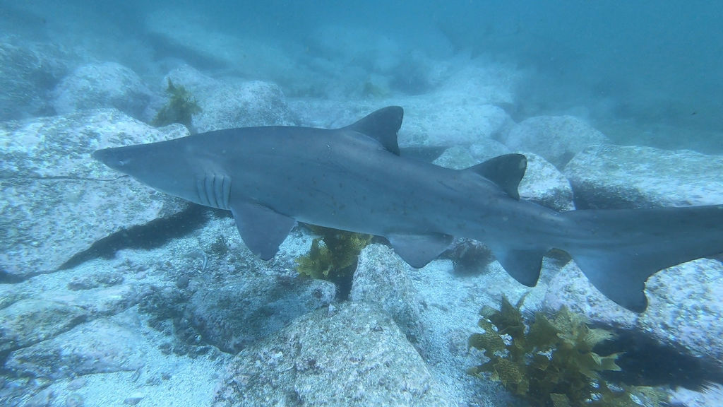 6dd7575e-a57a-4d00-bd97-6939a19645e5