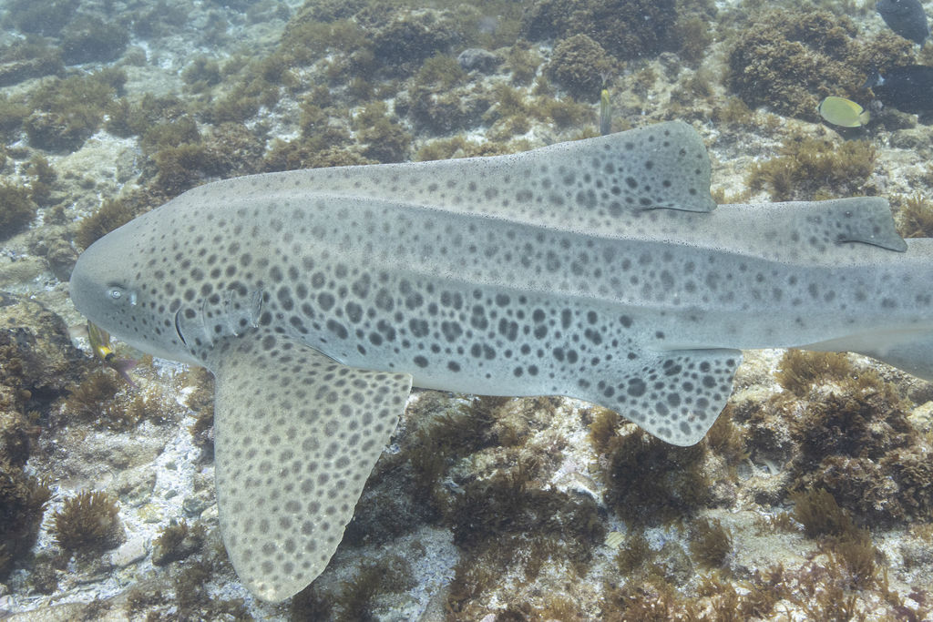 39f520af-3168-4139-a05a-30e9213a551d