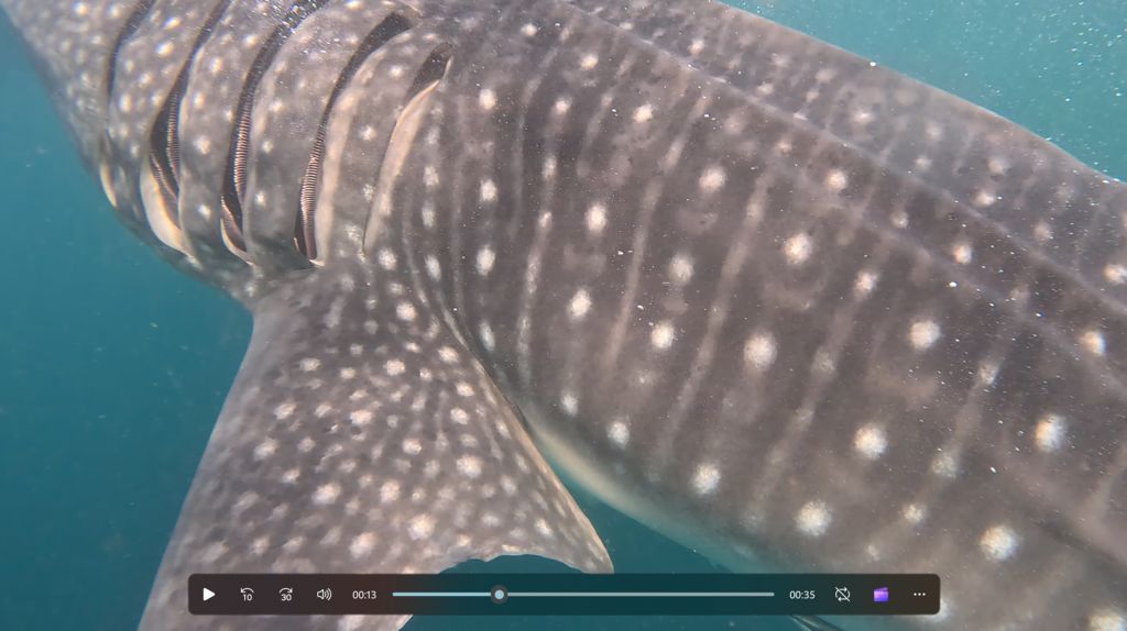 145c6c54-57f6-4fb4-bab6-003301a174af