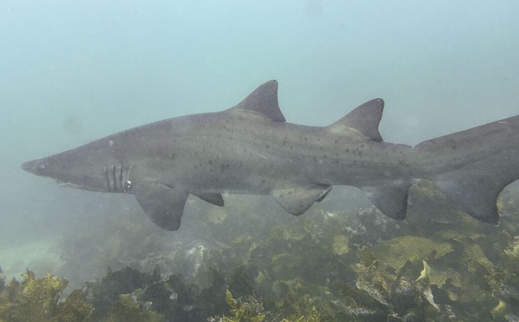 fae69432-8bf9-4a3d-af32-26b19cc95bcc