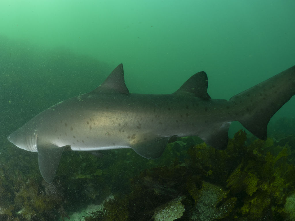 6402c64b-fd64-4145-b150-a9c43e9cc894