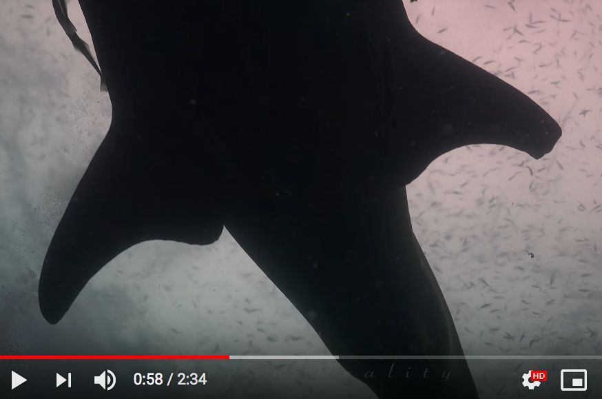 40c178b3-aaea-49ec-879a-8c9675224c02