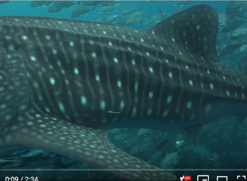 40c178b3-aaea-49ec-879a-8c9675224c02