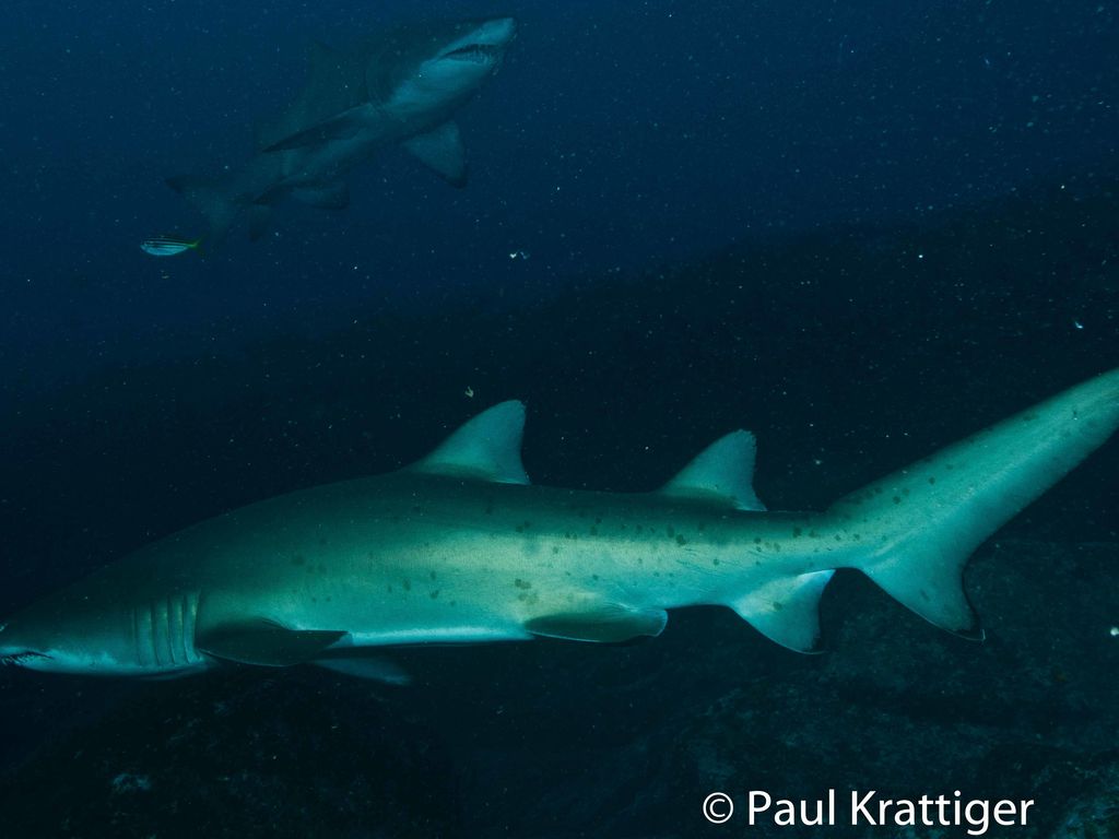 d3d97800-043a-41d2-848c-12a80f29ce0a