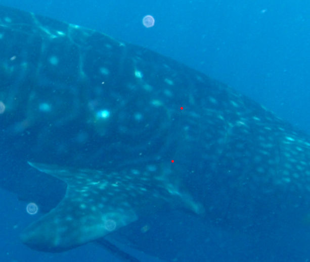 39f74d99-2f36-4086-b2a2-3b8cdb2a0fab