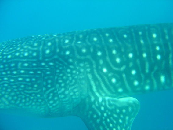 39f74d99-2f36-4086-b2a2-3b8cdb2a0fab