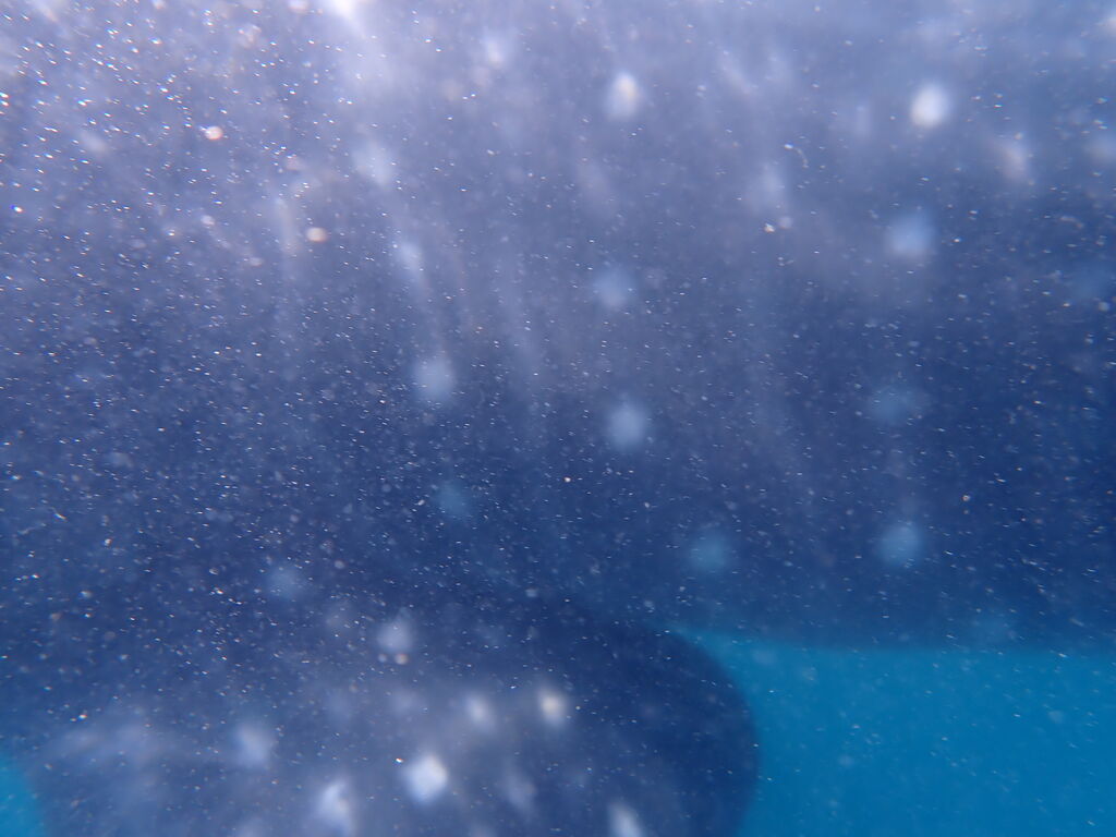 78e5d938-1980-4796-8300-ffad674b84df