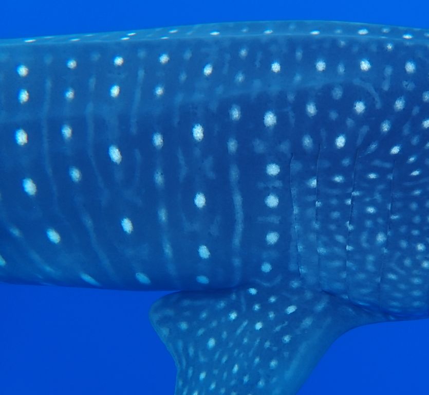 eb62b25d-27ac-4be4-84e3-947e8f11a3cf