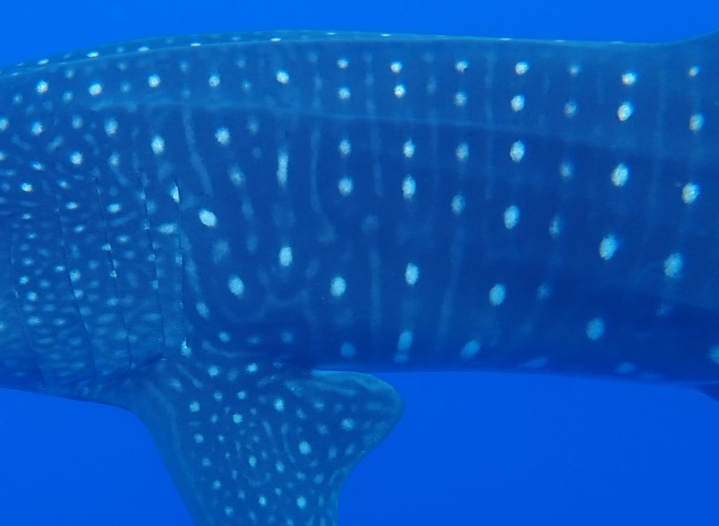 eb62b25d-27ac-4be4-84e3-947e8f11a3cf