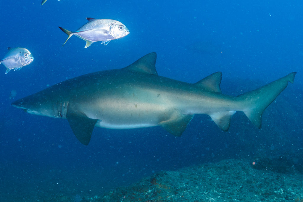 3a1896e2-fc8a-403a-8a03-f6856969e370