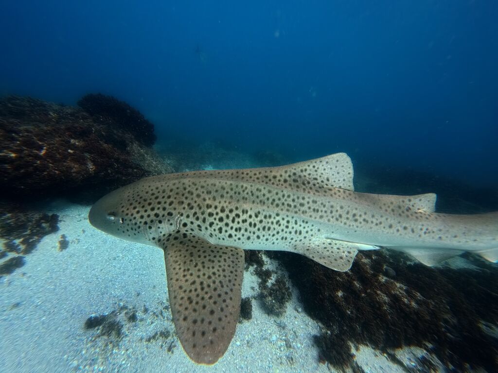 c4f39b7f-b056-431c-8f8e-b49d3ee7fb9a