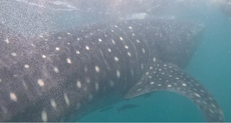 b3afd719-df44-40e2-94d0-94d669b7ffb0